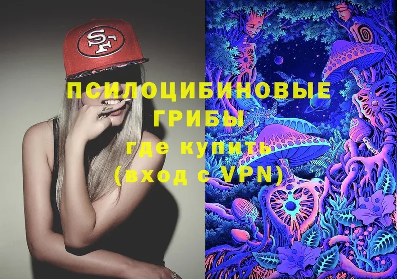 Галлюциногенные грибы Psilocybe  цены   Курган 